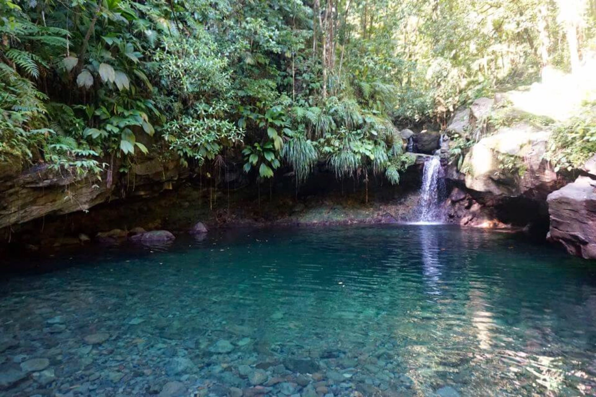 Bassin Paradise, rivière de Basse-Terre