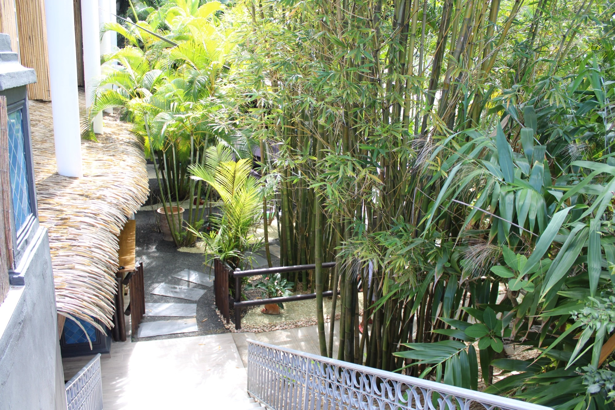 Jardin de bambous