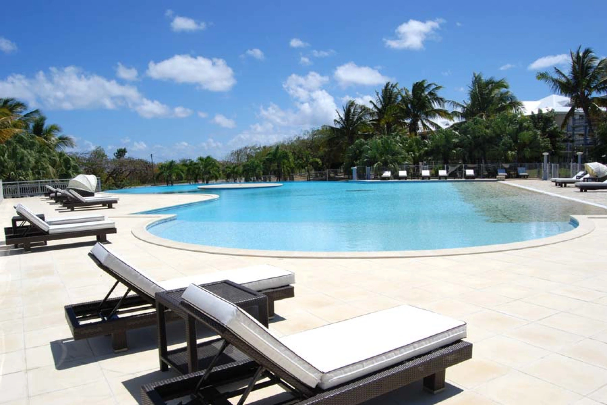 Piscine lagon au cœur du jardin